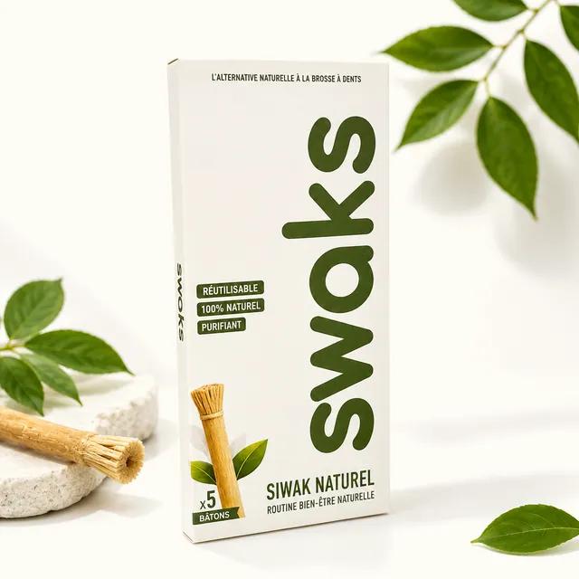 SWAKS siwak carton with its oversized wordmark, resting against a pale stone with leaves alongside